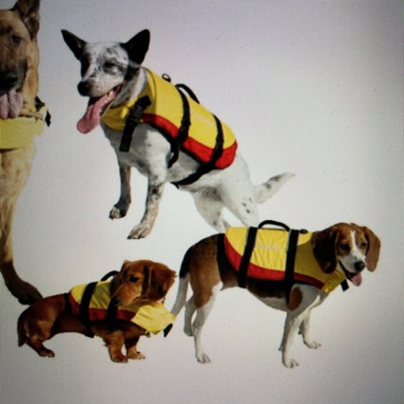 West Marine Other - West Marine Deluxe Pet Life Jacket